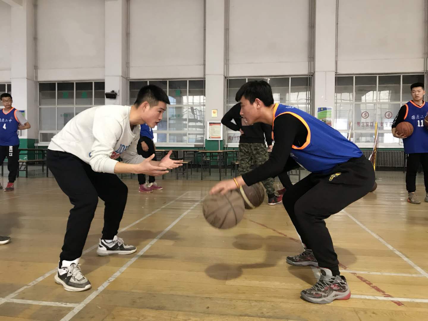 蓝鲸体育客户端