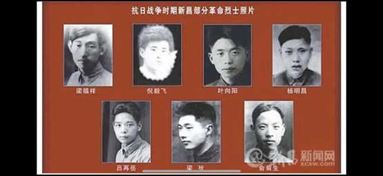蓝鲸体育赛事资讯平台
