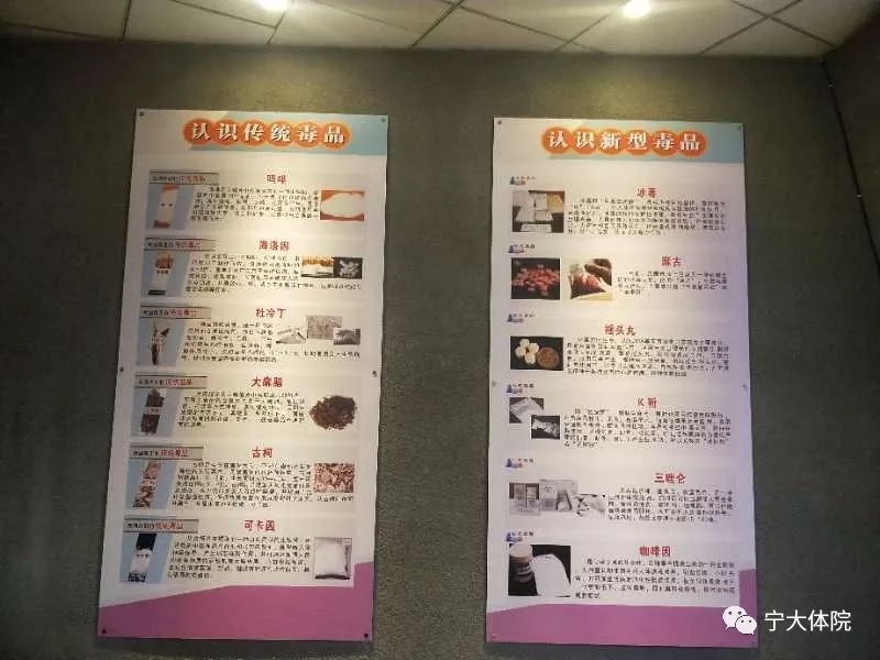 蓝鲸体育超级联赛